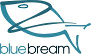 BlueBream